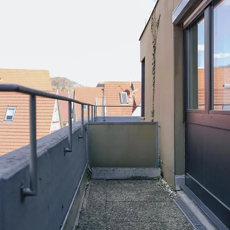 In * Metzingen (Tubingen)